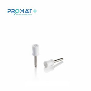 Gomas para Profilaxis - Copa